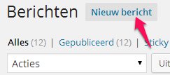 WordPress - Nieuw Bericht