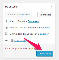 WordPress - Publiceren