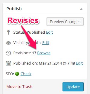 WordPress - Revisies