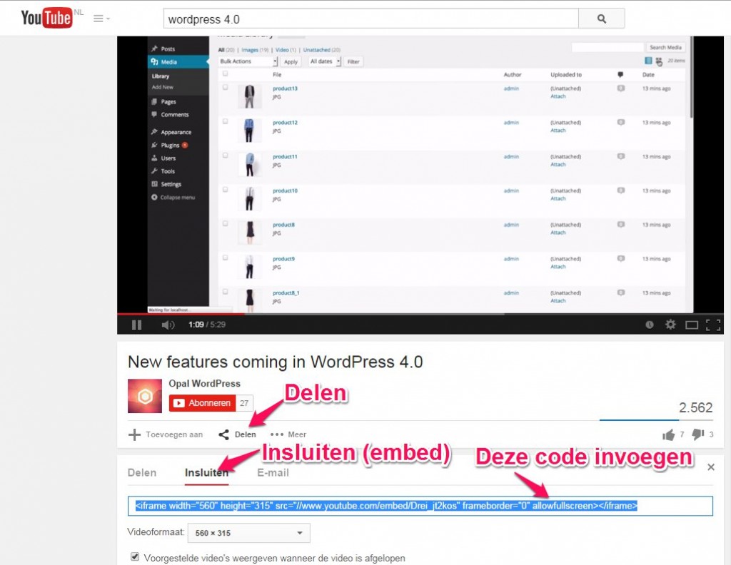 Video toevoegen aan je WordPress website