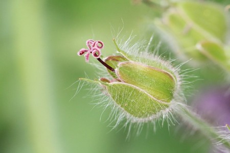 Houd de kleuren op je website natuurlijk